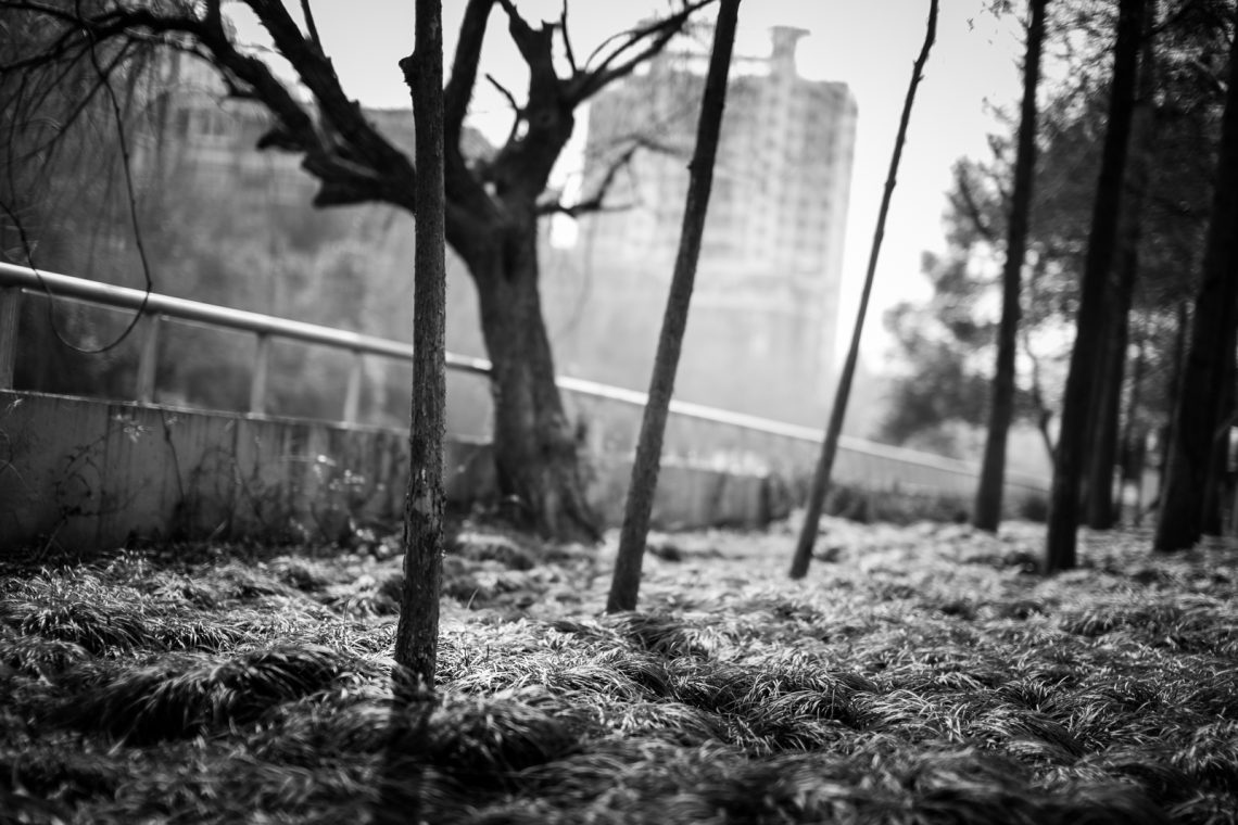 IMG_3451