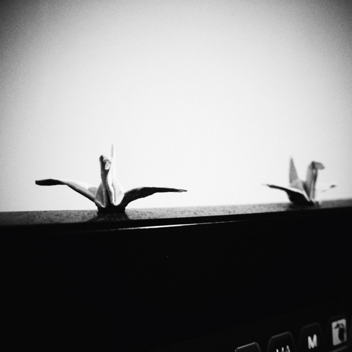 Processed with VSCOcam with b5 preset